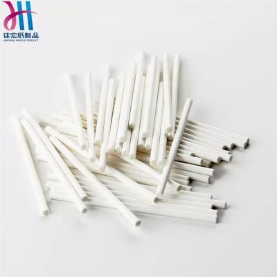 Custom White Food Grade Biodegradable Paper Lollipop Sticks